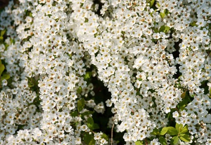 201104061251-DSC05065.jpg