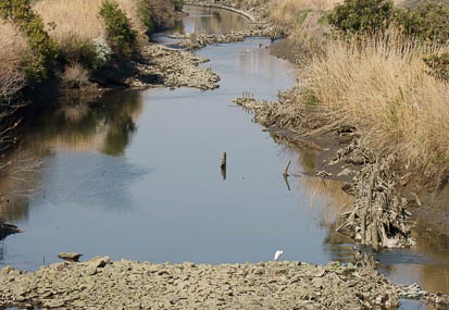 201104061411-DSC05319.jpg