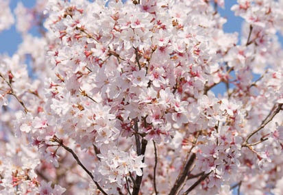 201104061421-DSC05354.jpg