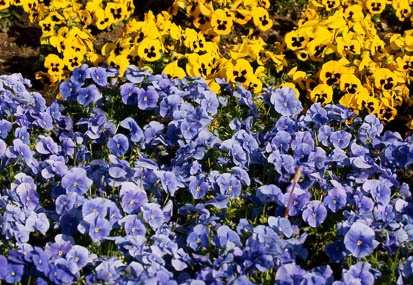 04.06 川崎