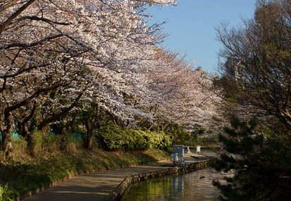 201104061550-DSC05454.jpg