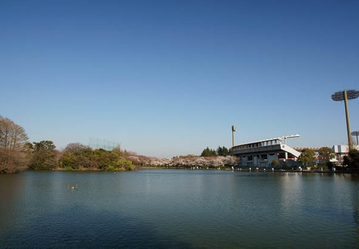 201104061613-DSC05505.jpg