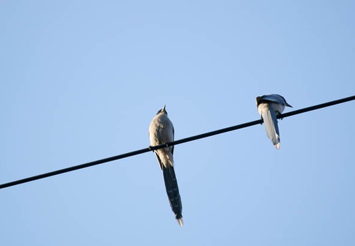 201104061628-DSC05553.jpg