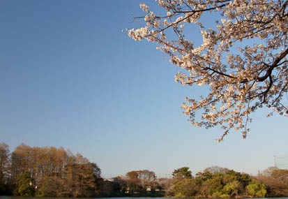 201104061652-DSC05609.jpg