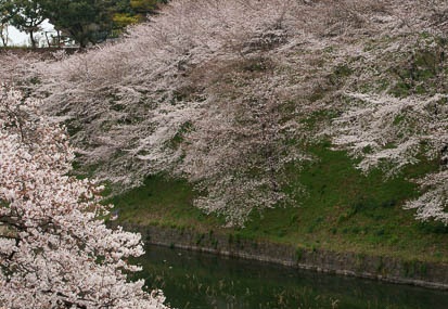 201104071121-DSC05640.jpg