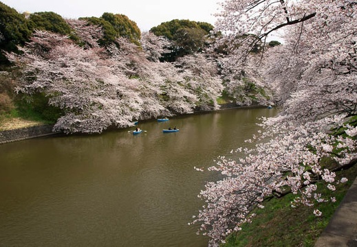 201104071219-DSC05737.jpg