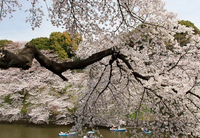 201104071228-DSC05755.jpg