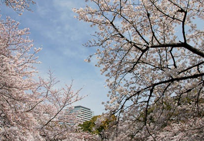 201104071232-DSC05762.jpg
