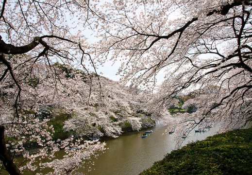 201104071236-DSC05766.jpg