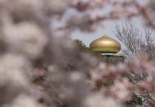 04.07 千鳥ヶ淵