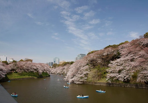 201104071254-DSC05800.jpg