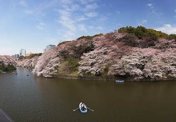 201104071258-DSC05808.jpg
