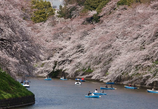 201104071302-DSC05818.jpg