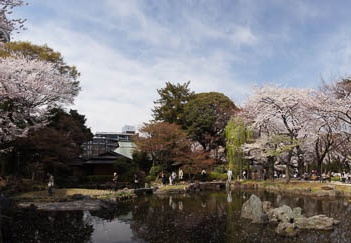 201104071408-DSC05900.jpg