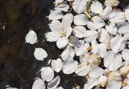 201104071419-DSC05911.jpg