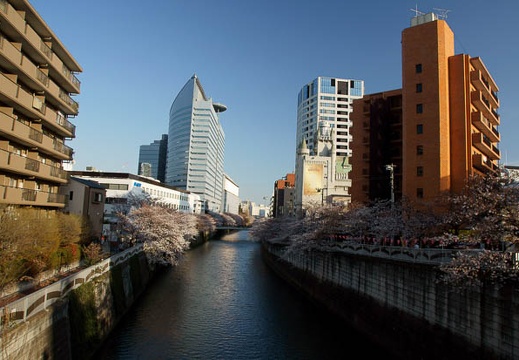 201104071644-DSC05935.jpg
