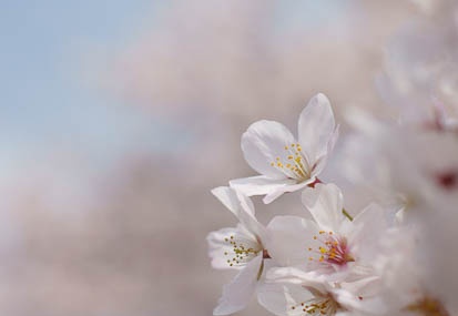 201104101200-DSC05999.jpg