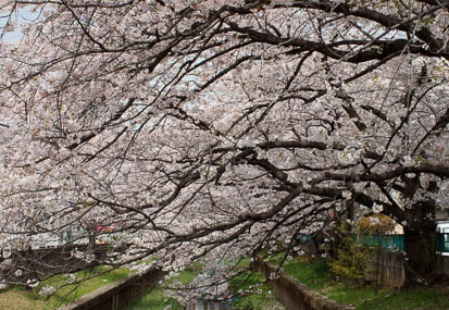 201104101202-DSC06008.jpg