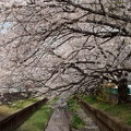201104101202-DSC06008.jpg