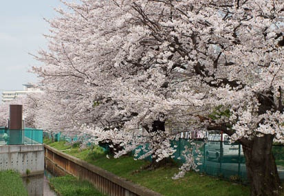 201104101212-DSC06039.jpg