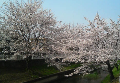 20110410140903-SO902i.jpg