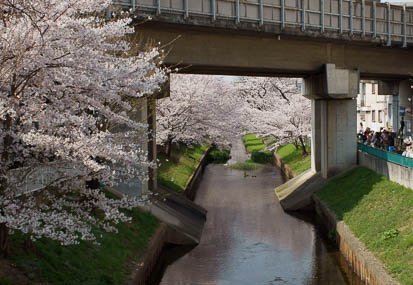 201104101421-DSC06373.jpg