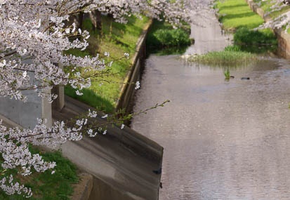 201104101422-DSC06375.jpg