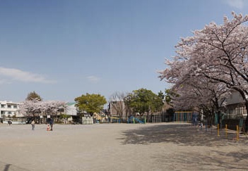 201104101443-DSC06399.jpg