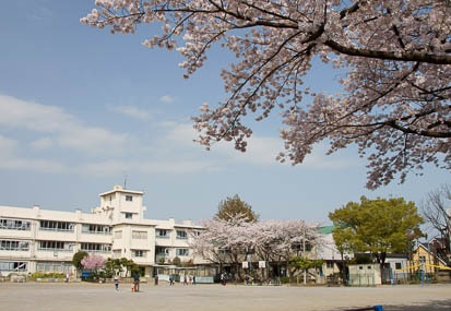 201104101444-DSC06400.jpg