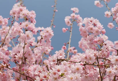 201104101450-DSC06417.jpg