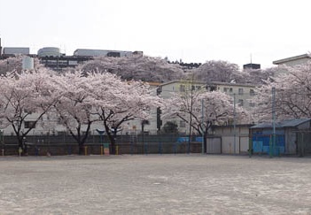 201104101453-DSC06425.jpg