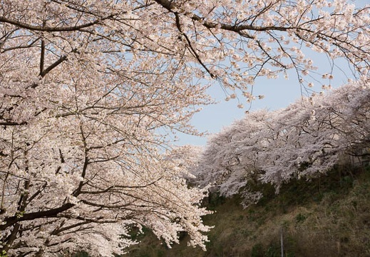 201104101501-DSC06436.jpg