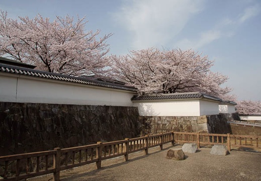 201104110830-DSC06702.jpg