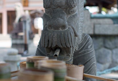 201104110915-DSC06767.jpg