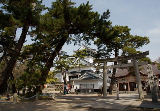 201104110917-DSC06770.jpg