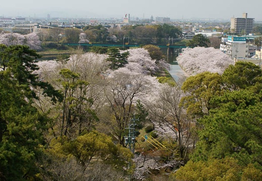 201104110932-DSC06790.jpg