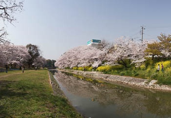 201104110952-DSC06813.jpg