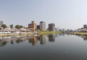 201104111017-DSC06850.jpg