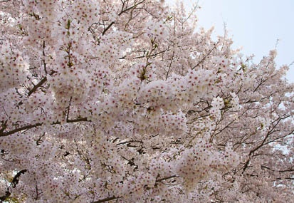 201104111026-DSC06861.jpg