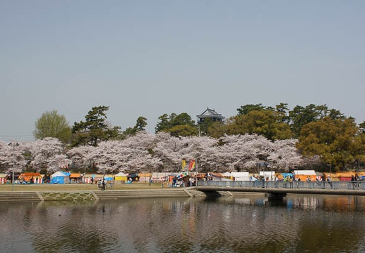 201104111033-DSC06871.jpg
