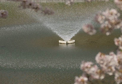 201104111042-DSC06891.jpg