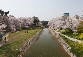 201104111100-DSC06909.jpg