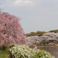 201104111437-DSC07076.jpg