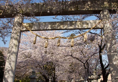 201104120728-DSC07165.jpg
