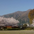 201104120746-DSC07199.jpg