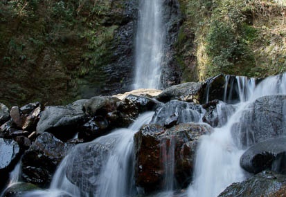201104120834-DSC07284.jpg