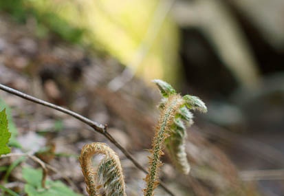 201104120848-DSC07332.jpg