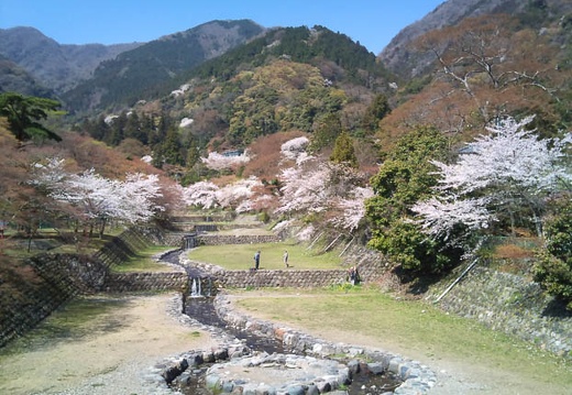 20110412094431-SO-01B.jpg