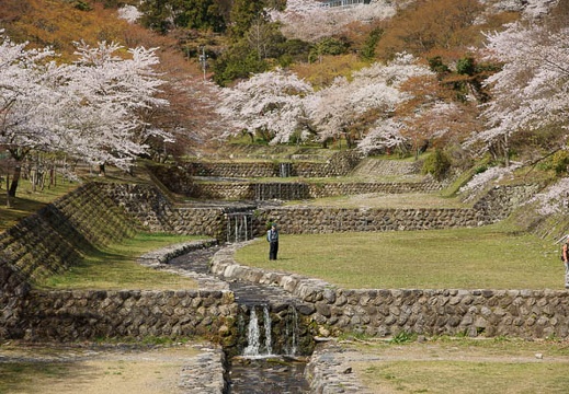 04.12 養老公園
