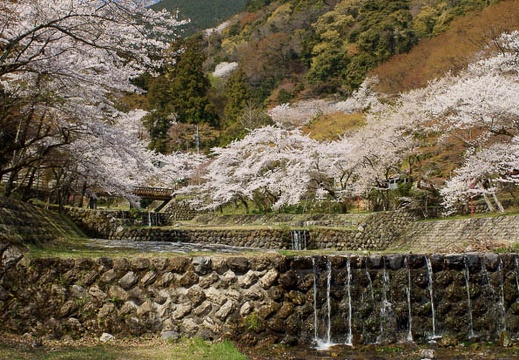 201104121001-DSC07437.jpg